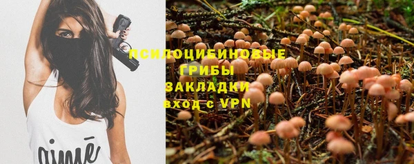 индика Липки