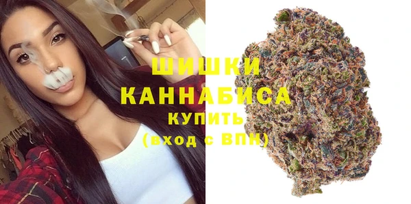 индика Липки