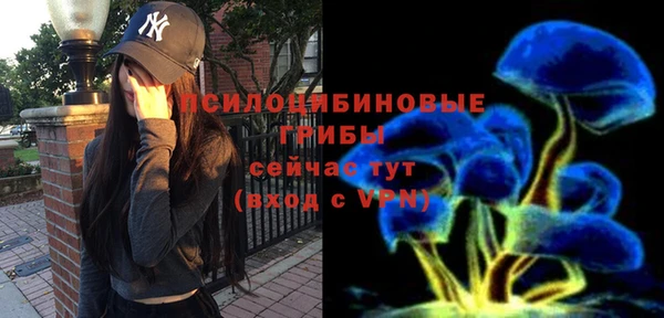 индика Липки