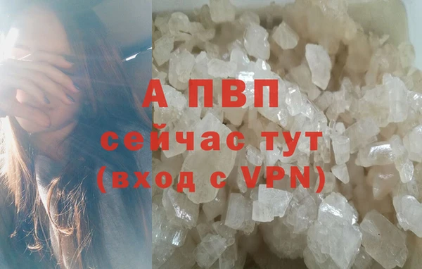 индика Липки