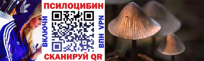 Псилоцибиновые грибы Psilocybine cubensis  Купить где  Петушки 